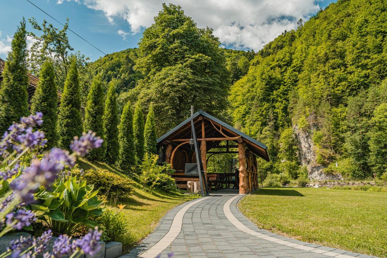 Apartamenty Magia Gór Szczawnica Exterior foto